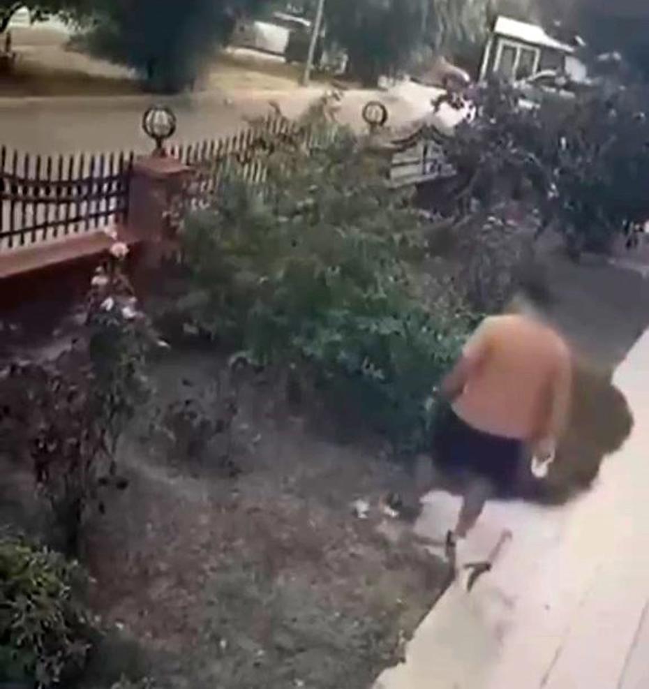 İzmir'de Yavrulu Bir Kediye Şiddet Uygulayan Şüpheli Yakalandı